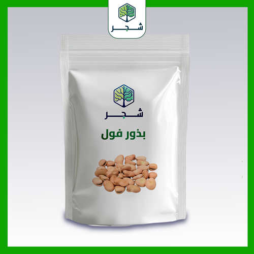 بذور فول