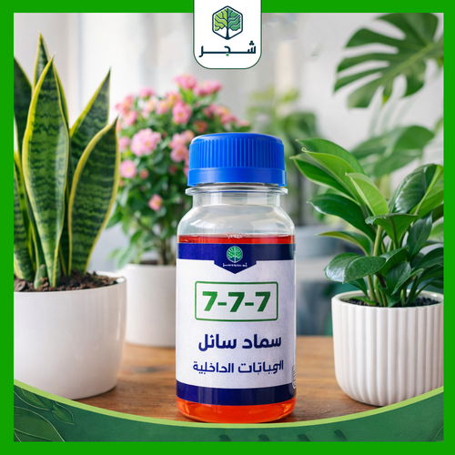 سماد النباتات الداخلية