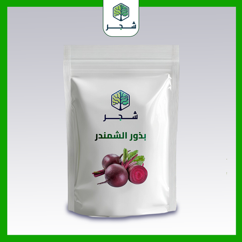 بذور الشمندر