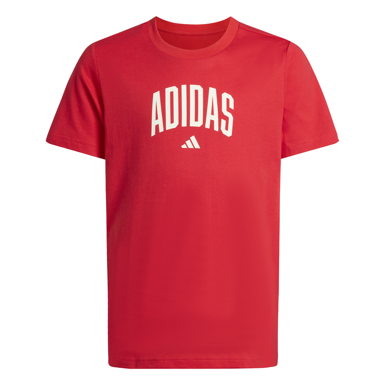 Collegiate Graphic T-Shirt Kids - 7-8 Years - PURRUB/OWH