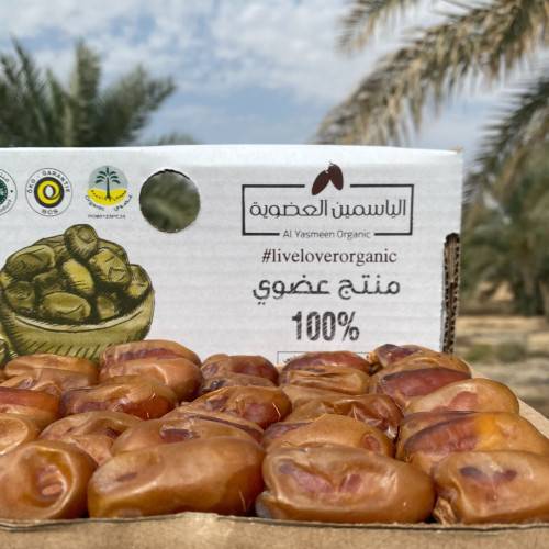 تمر شيشي 3كجم