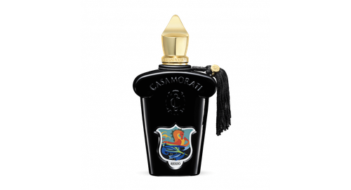عطر ريجيو من مجموعة كازاموراتي من زيرجوف | Regio by Xerjoff Casamorati