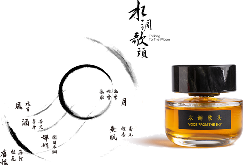 Talking to the Moon By Voice From The Sky 50ml