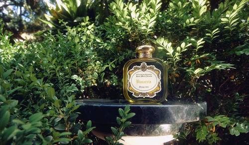 بيزاريا من سانتا ماريا نوفيللا 100مل | Bizzarria by Santa Maria Novella 100ml