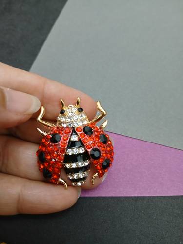 Ladybug Brooch