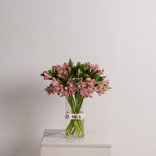 فازة استوماريا ساحرة