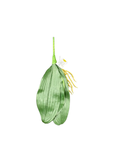 Artificial orchid papers for decoration