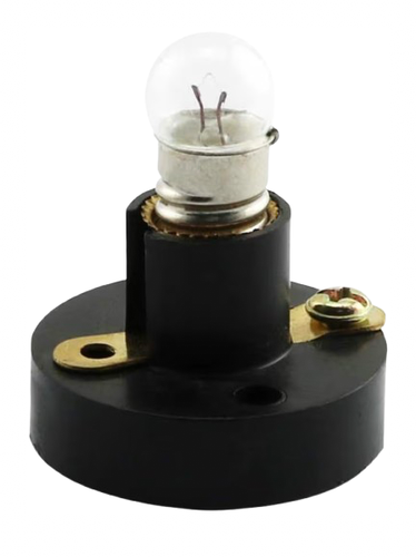 LIGHT BULB WITH LIGHT BULB HOLDER