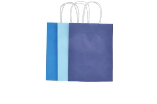 Paper gift bag : 11 x 21 x 27 cm : available in different colors 