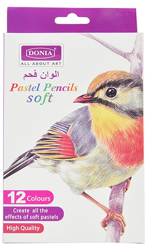 12  soft pastel pencil : set of