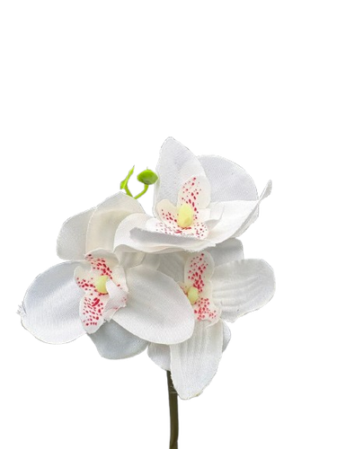 Artificial orchid flowers: white color