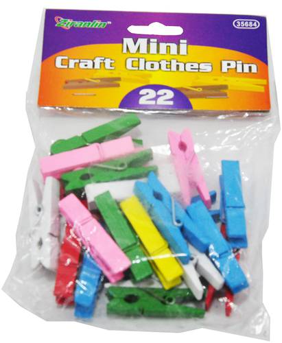 mini craft clothes pin : 22 pcs 