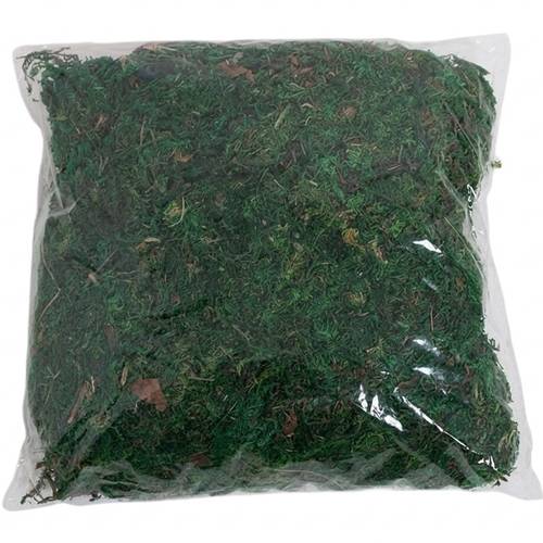 عشب مجفف :200G
