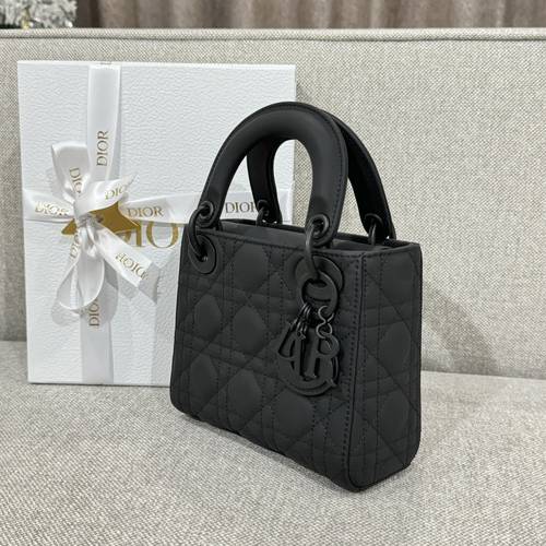 Matt  lady dior size 17
