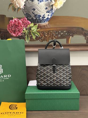 Goyard black  back bag