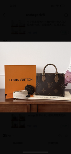 Small Lv