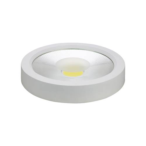 CUB Tobler Outdoor WHITE Frame 50W 