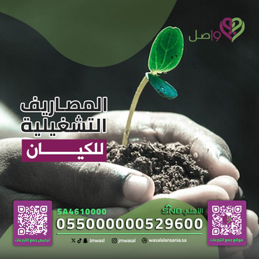 المصاريف التشغيلية للكيان