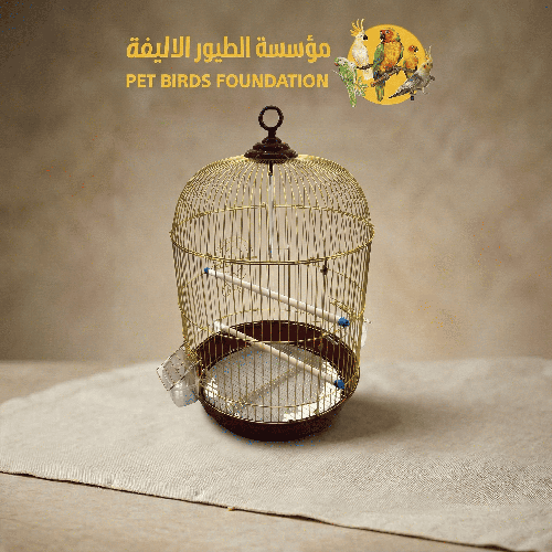 قفص ذهبي شكل دائري طويل