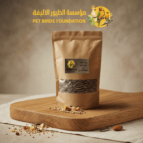 حب دوار شمسي سادة