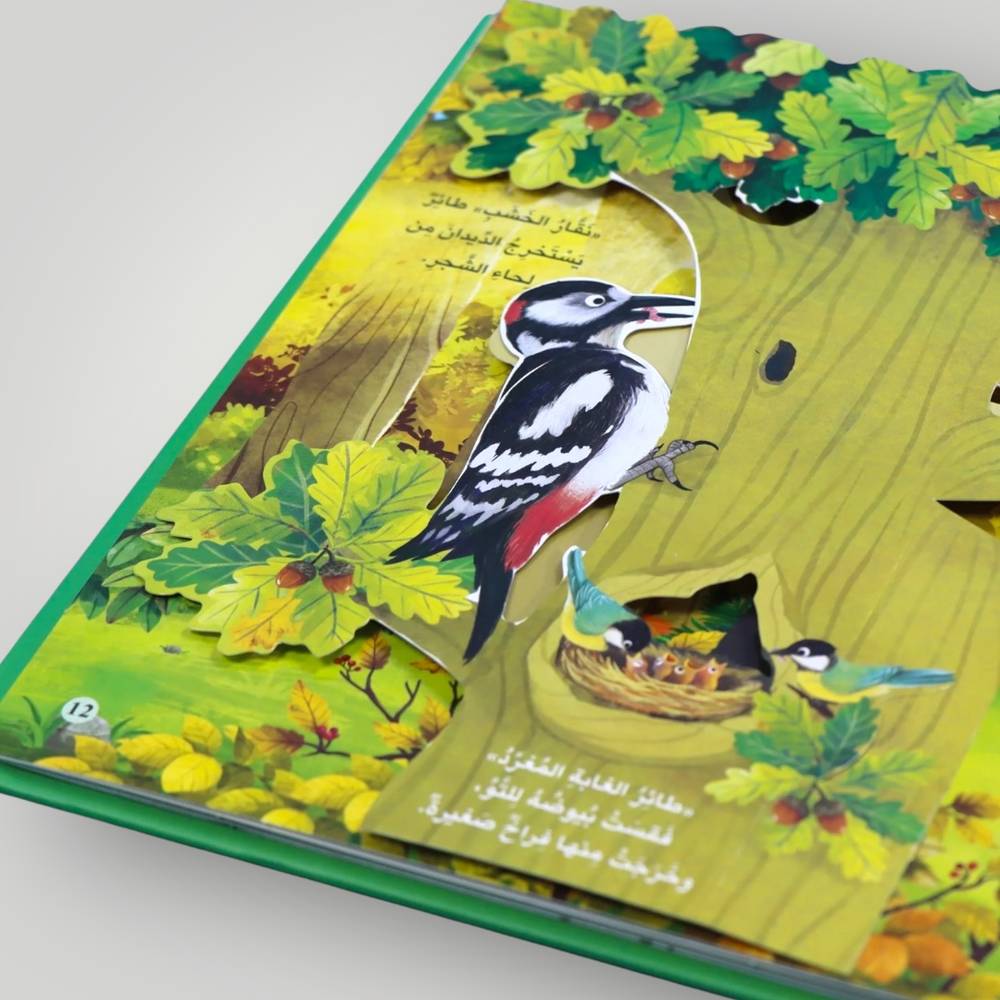 مملكة الحيوان: الغابة