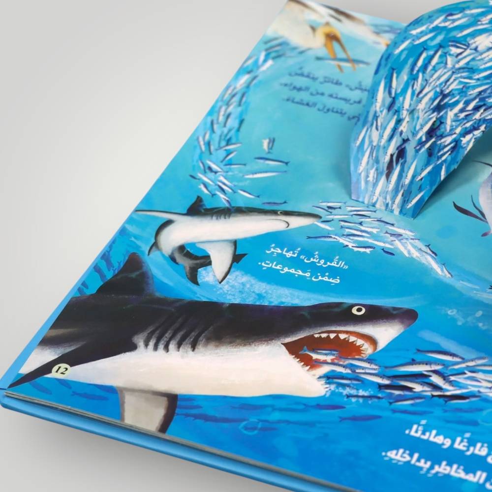 مملكة الحيوان: المحيط