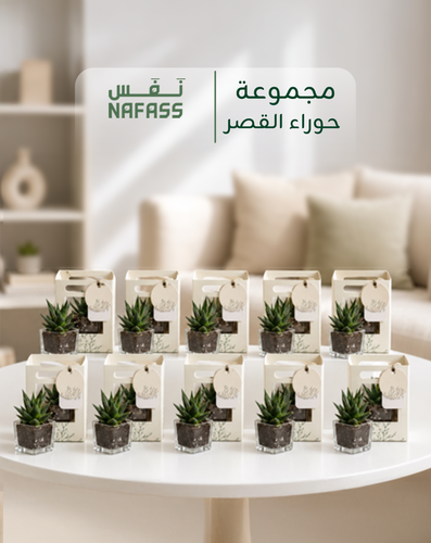 مجموعة الصبار (10 حبات)