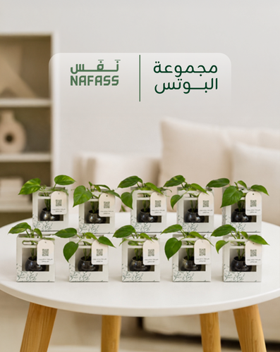 مجموعة البوتس (10 حبات)