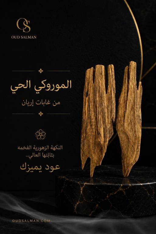 موروكي حي. إرياني اصقون