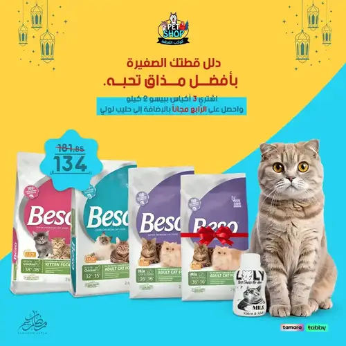 دلل قطتك الصغيرة بأفضل مذاق تحبه