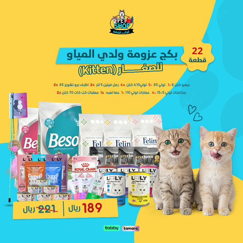 عزومة ولدي المياو   للصغار (Kitten)