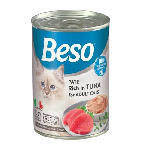 Canned Beso pate with tuna 400g