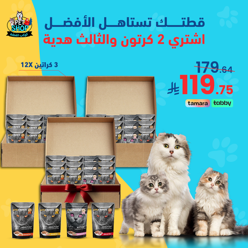 عرض برو تشويس كرتونين والثالث مجانا
