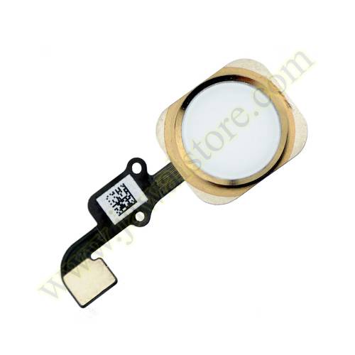 Gold- iPhone 6 Plus Home Button