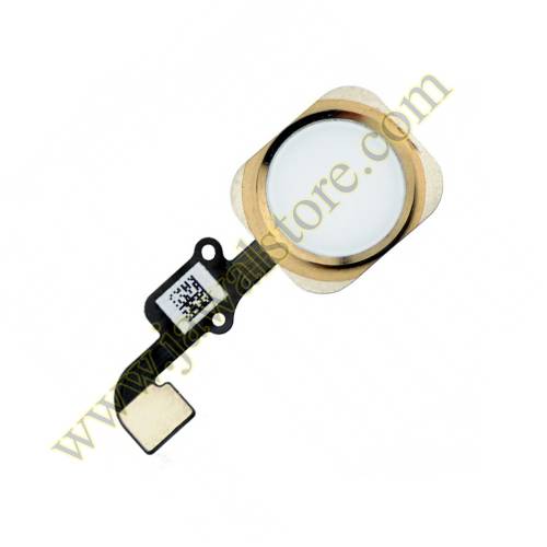iPhone 6 Home Button gold color 