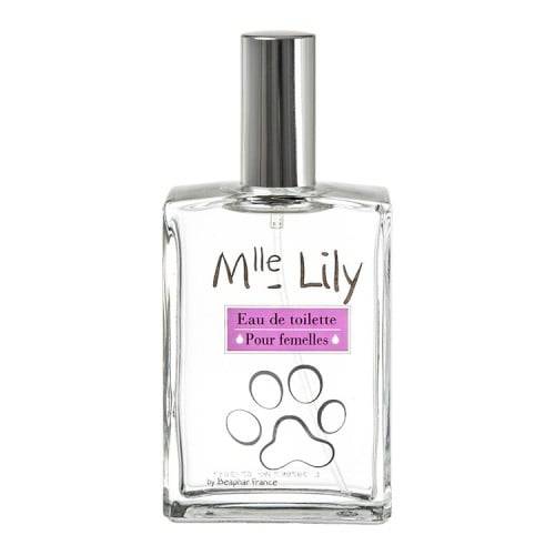 بيفار عطر مستر ليلي لأنثى الكلاب والقطط 50مل