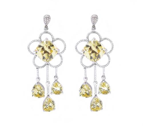 Diamond and ruby ​​earrings