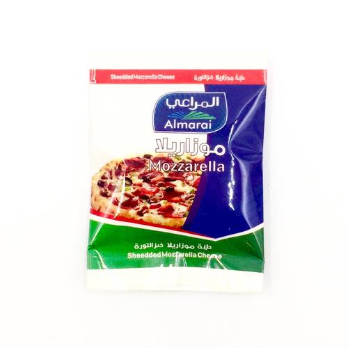 مغناطيس ثلاجة