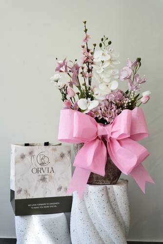 Dream Roses