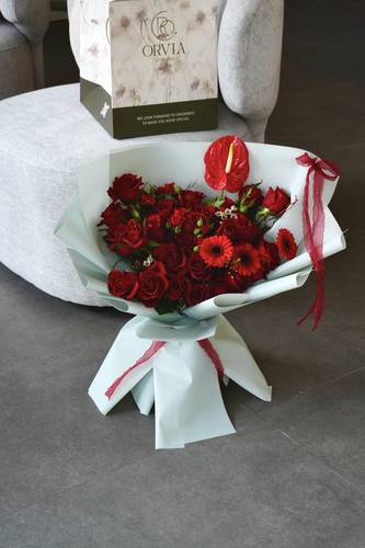 ڤيلورا