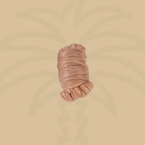 مصران