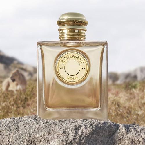 عطر بربري جولد 100ml
