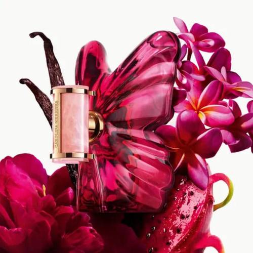 عطر لا بومبا كارولينا هيريرا 2025 النسائي 80 مل
