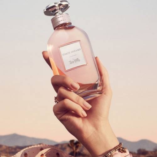عطر كوتش نيويورك دريمز برفيوم 90ML