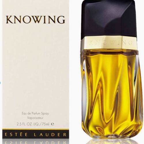 عطر استي لودر نوينج