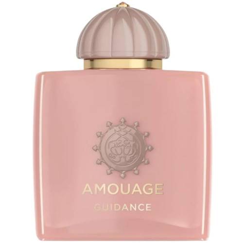 Amouage Guidance perfume - Eau de Parfum 100ml Tester without box