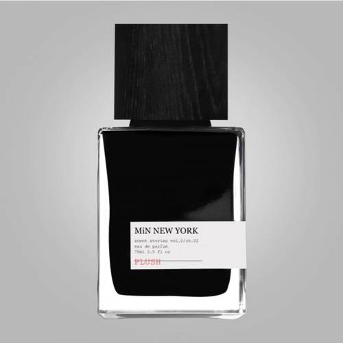 عطر بلش من دار 