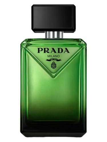 .عطر برادا بارادايم اودي بارفيوم للرجال 100 مل
