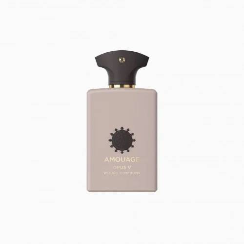 عطر امواج اوبس الخامس V او دو بارفيوم 100مل