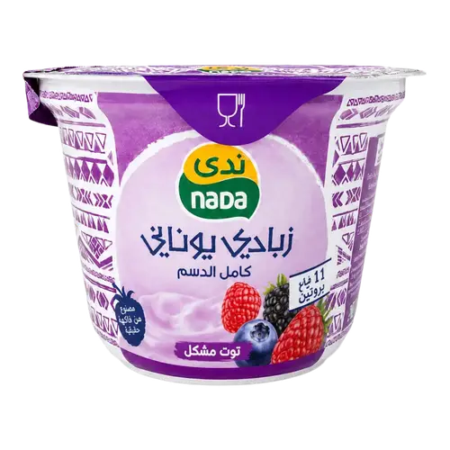 زبادي يوناني كامل الدسم 160 جم ندى - توت مشكل